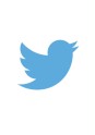 Das Bild zeigt das offizielle Twitter Logo. Zu sehen sind die Umrisse eines stilisierten Vogels im Profil. Der Vogel ist hellblau und streckt seine Flügel nach oben. Der Hintergrund ist weiß.